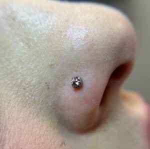 Eila Cansler | Portfolio 2