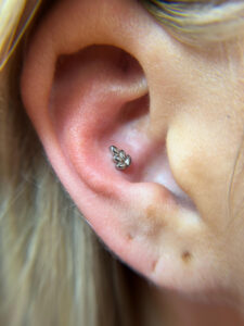 Eila Cansler | Portfolio 18